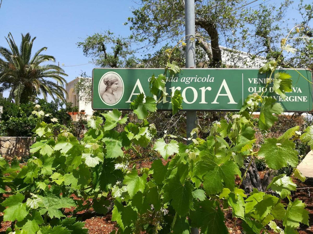 Residenza Aurora Aparthotel Ostuni Bagian luar foto